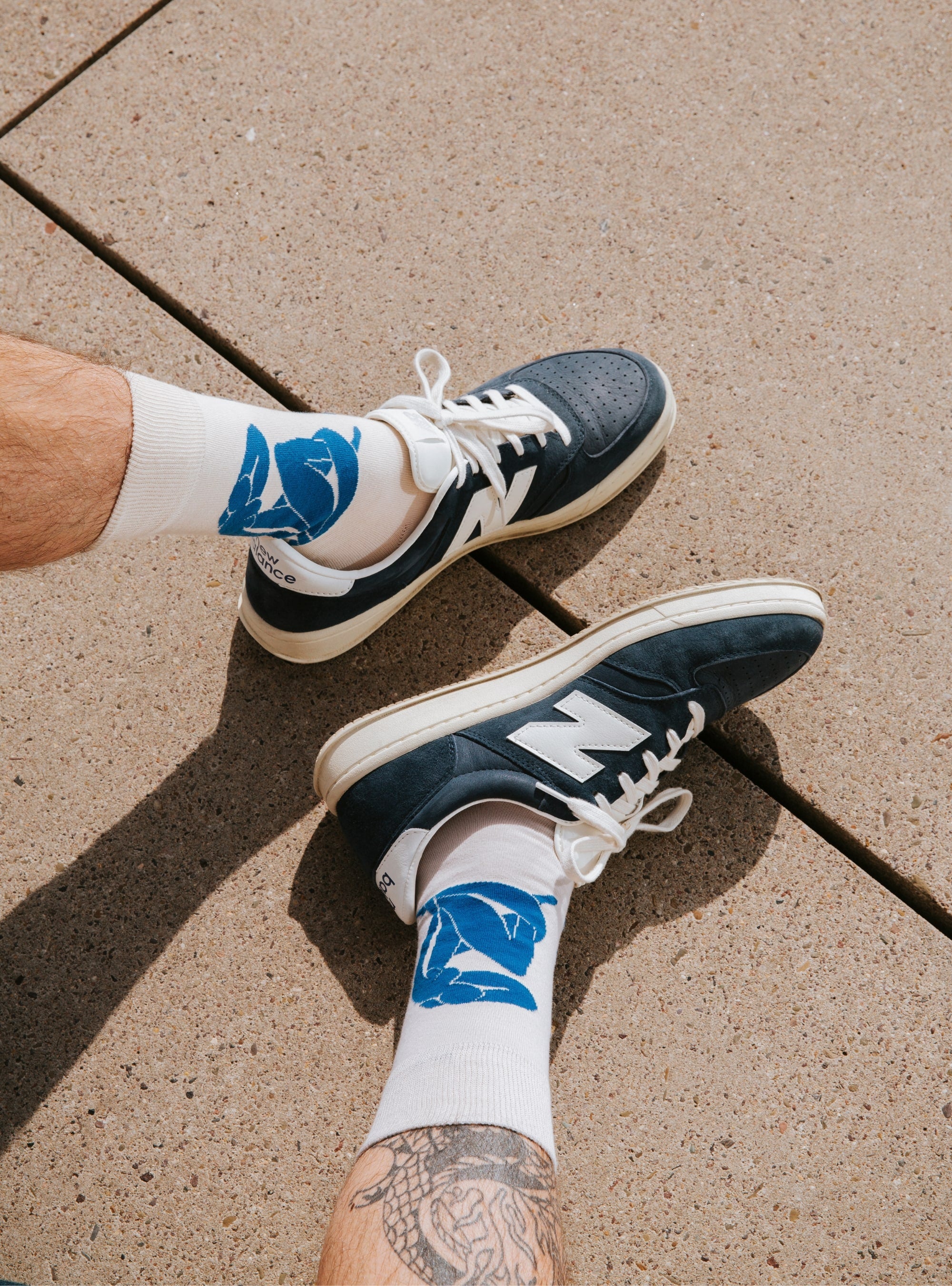 Henri Matisse 3-Pack