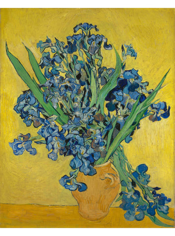 Irises
