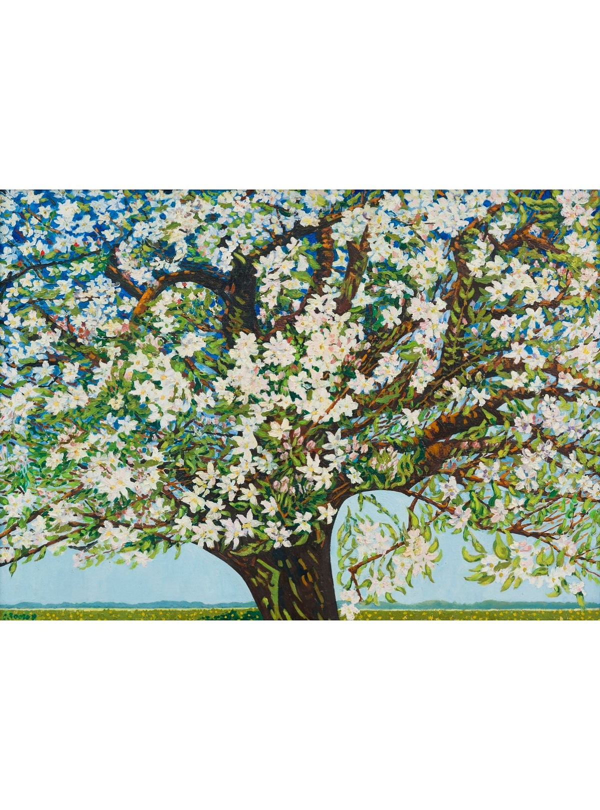 Beemster, bloeiende boom van Charley Toorop, uit de collectie van Museum MORE, het originele kunstwerk achter de sokken