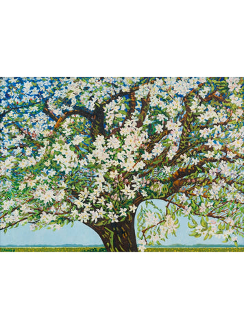 Beemster, Flowering Tree