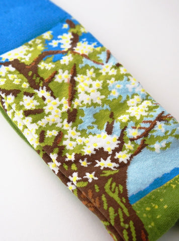 Beemster, Flowering Tree