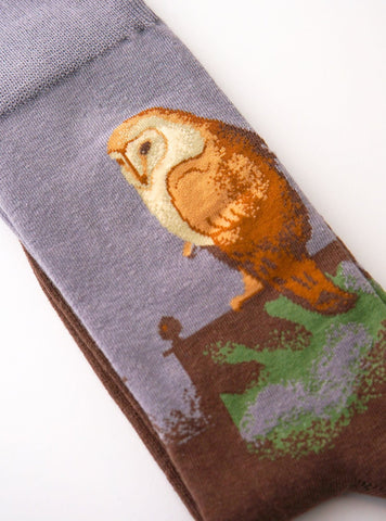 Large Owl on a Screen