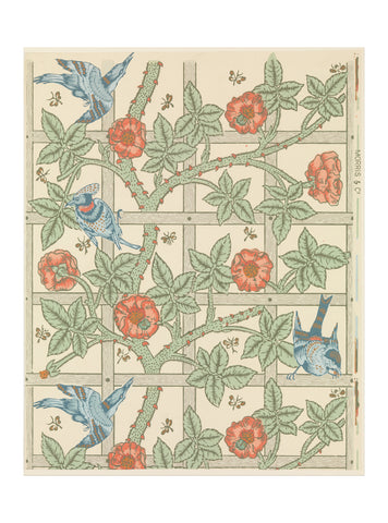 Trellis